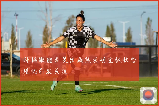 孙铭徽能否复出成焦点胡金秋状态堪忧引发关注