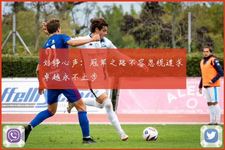 刘铮心声：冠军之路不容忽视追求卓越永不止步